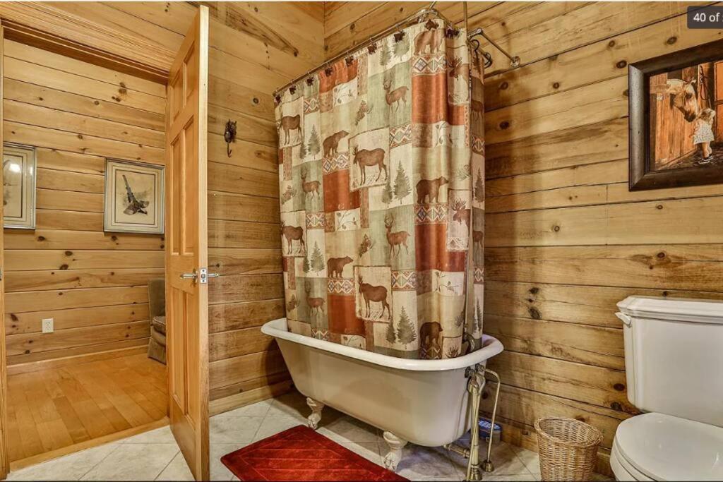 Blue Ridge Bliss- Spacious Cabin, Pets, Hot Tub! Exterior photo