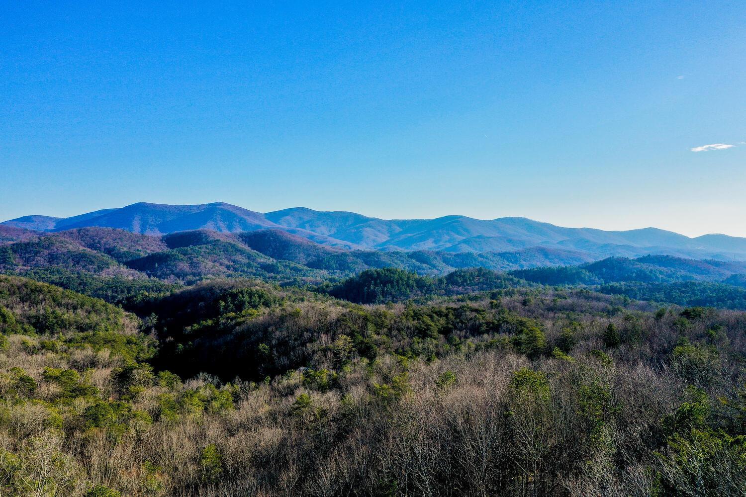 Blue Ridge Bliss- Spacious Cabin, Pets, Hot Tub! Exterior photo